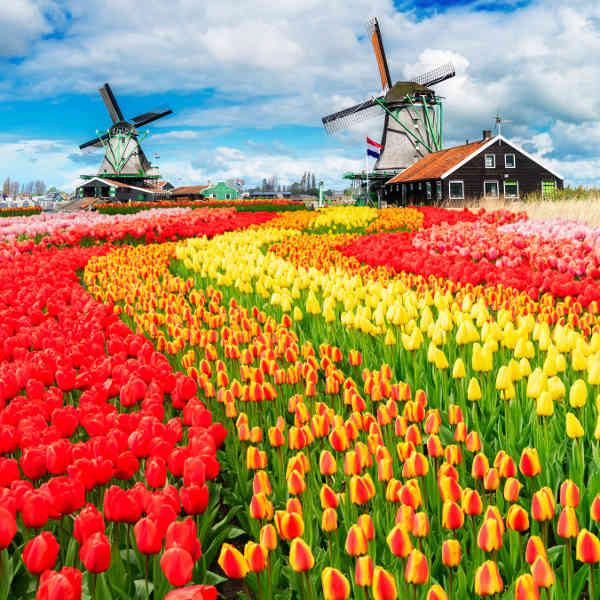 The Netherlands